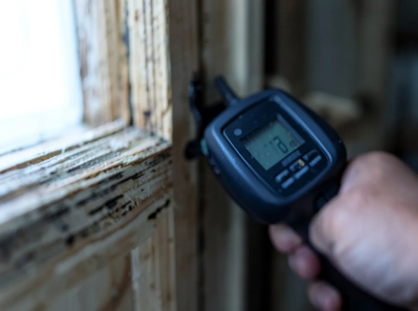 Moisture Inspection And Documentation in Derby, IA
